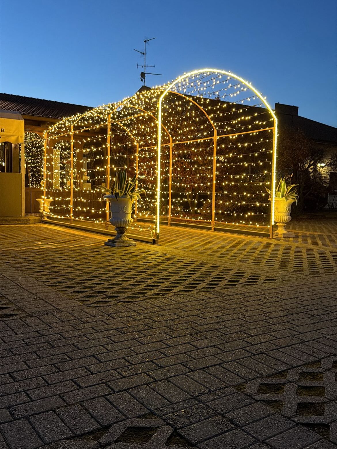 Soggetto luminoso 3D