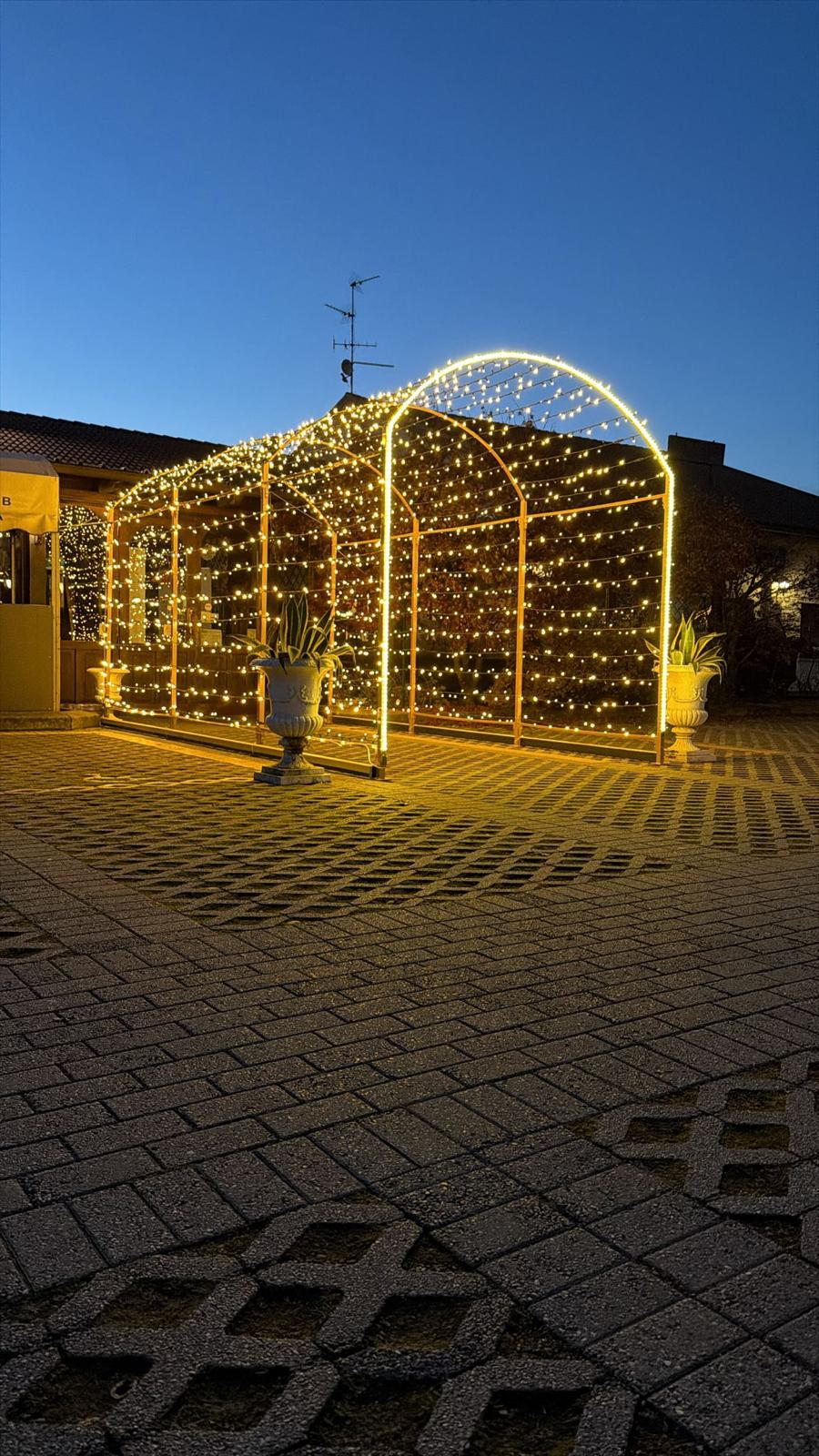 Creazione luminosa GoldLight 13