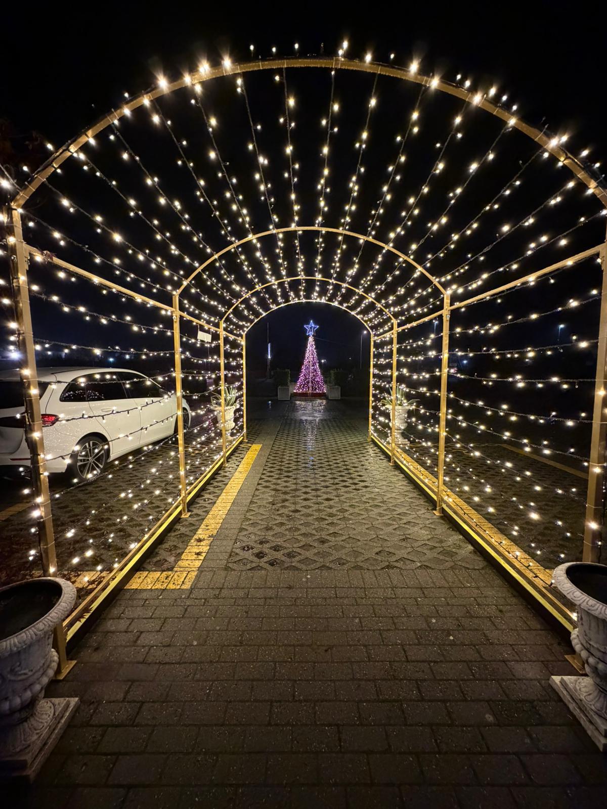 Creazione luminosa GoldLight 22