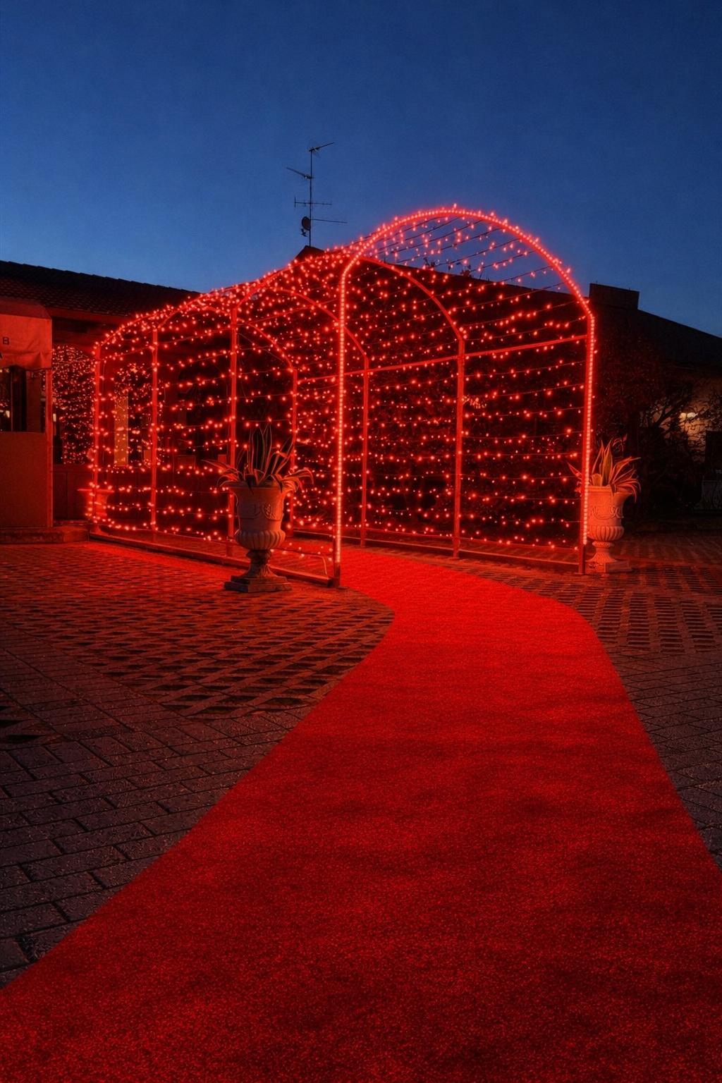 Creazione luminosa GoldLight 41